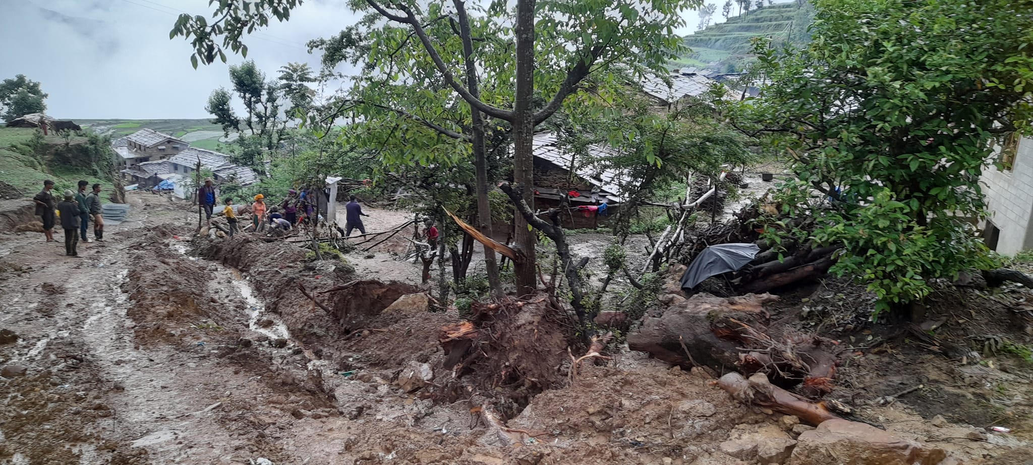 बाग्थला-भामचौर ग्रामिण सडकका कारण थापा गाउँमा घर, गोठ र आँगनभरि पानी र हिलो पस्यो